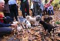 Wandeling van Monke en Judith op 21-10-2012 (64)